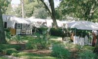 Canopies 1